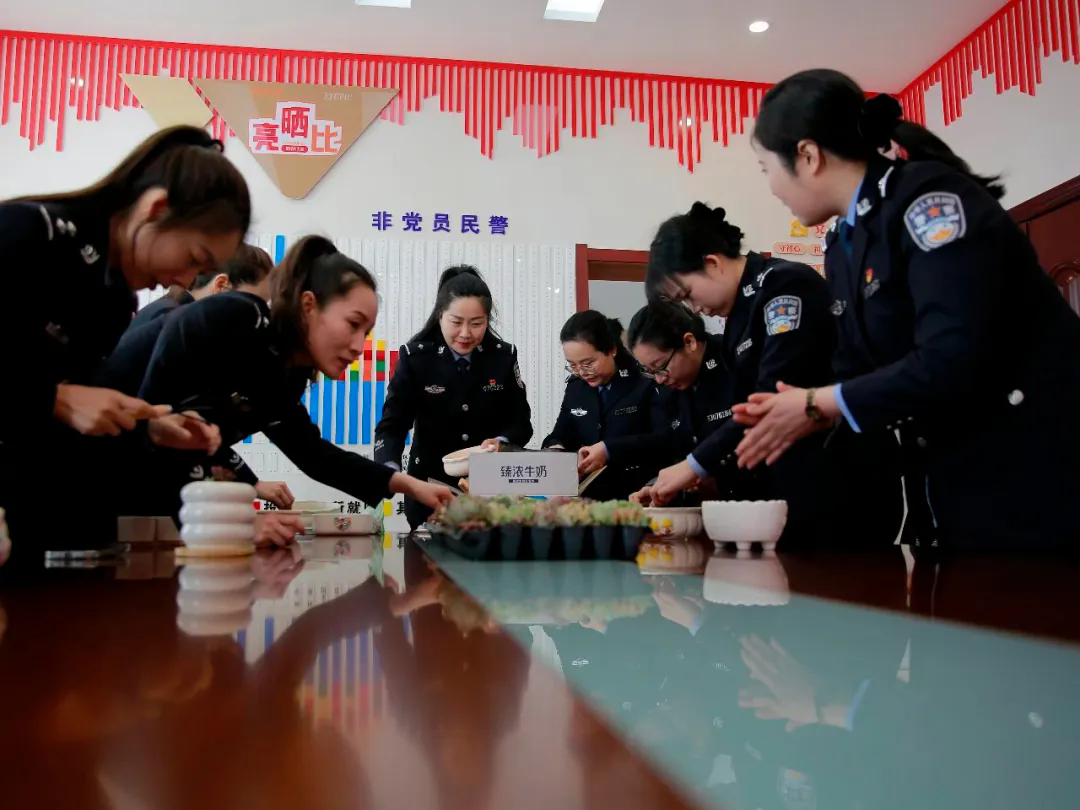 扎赉特旗公安局|柔肩担重任，芳华映初心”多肉种植DIY活动